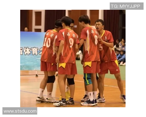 西安排球队的战术布局与比赛意识深度解析