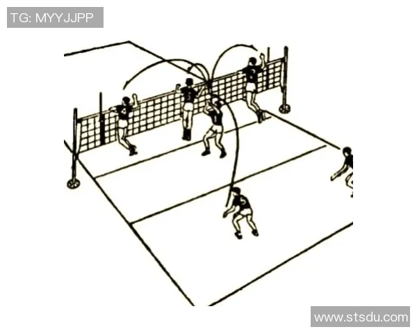 西安排球队战术解析：聚焦排球竞技中的策略与执行