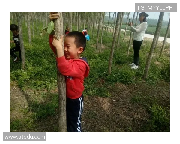 马小乐足球明星的成长之路与梦想追逐的精彩故事